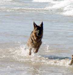 Bump von dem Krieger-Platz